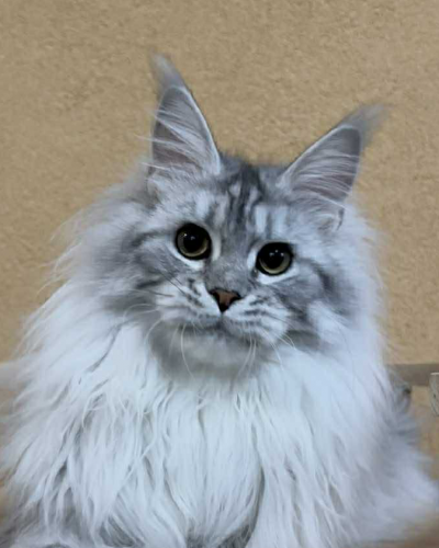 E57808A6-F35B-4A26-9FAA-637D35CD2F86