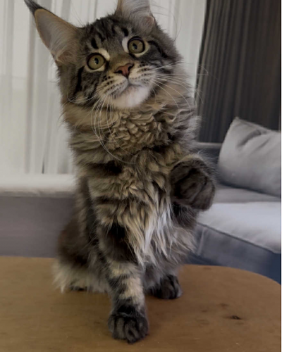 E6FBF727-921C-4A86-83E6-4236E60EBDA7