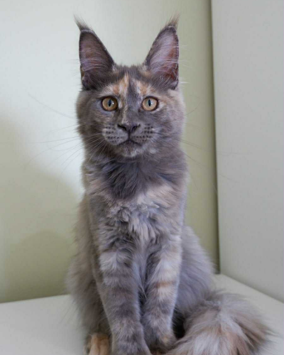 E709A2C2-CB18-42F4-ACAD-5B8832BFC65C