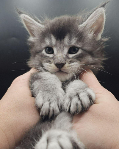 EAFDE824-8F2A-4F0C-A513-EEB6CFF3579C