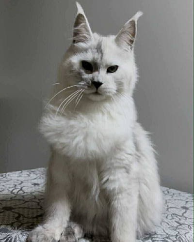 EB64EA5B-B4B7-4BDE-86B9-9D9333E95603