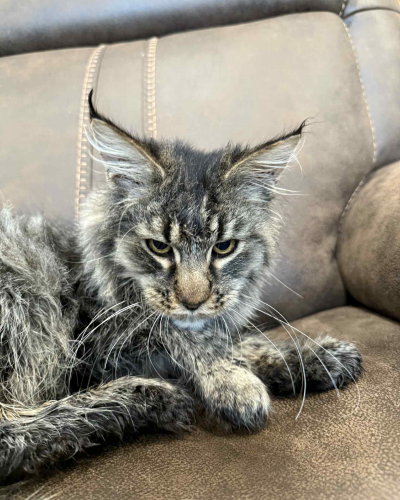 EBBEBEBA-A433-486B-979C-BEC936525A81