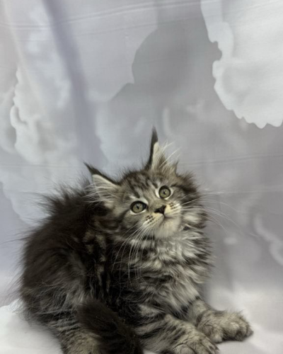 ED55C6E5-4637-488E-88DF-5EFCE192B2F1