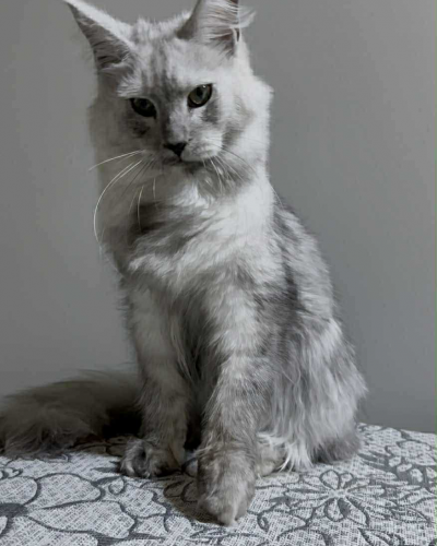 EE4677DA-27DC-4B7D-A621-8B87B0C41EAD