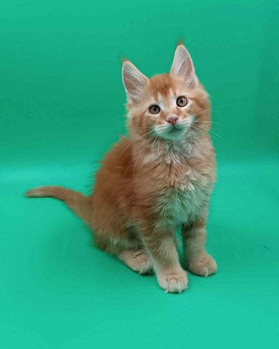 EE9C908F-48F6-413A-BF2F-C0DA6FDBD92C