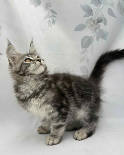 EEE506BB-6FA5-465A-97FB-F1FB292BB989