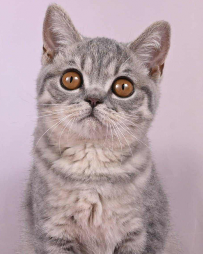 EF4F1F15-E943-4CA1-B0EC-9AABA588BA5E