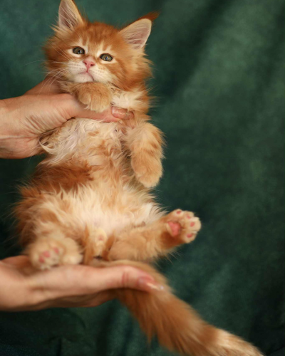 F03517CA-3DA8-41BB-9AEB-B3655E380E03