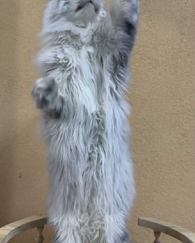 F2155A72-A1EC-4637-952E-26145DD4B941