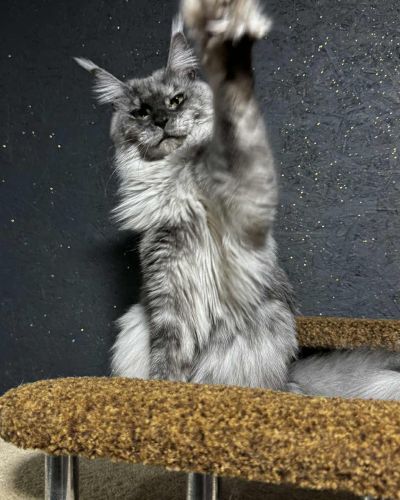 F24D4AF3-A3FB-4841-86B8-73CEC8676972