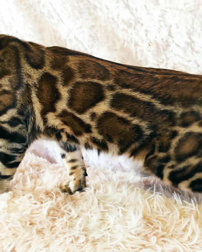 F2C861CC-84DB-4ABD-ACFA-10336798C57E