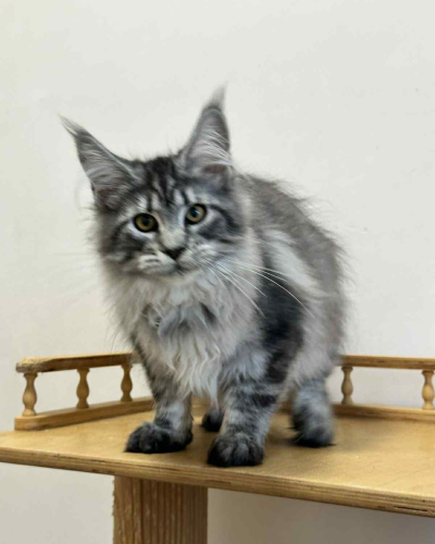 F3EBE257-B2A2-49FB-98C2-ADE2870C61A4