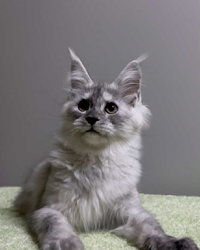 F4DBBA19-8850-494C-94B0-8C7B598F5101