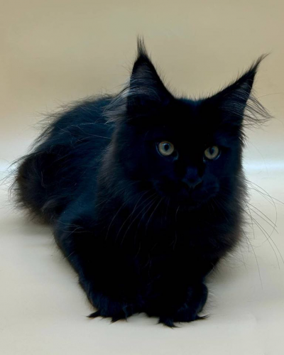 F5632808-7F5B-41A4-8502-3DA5F908FC21