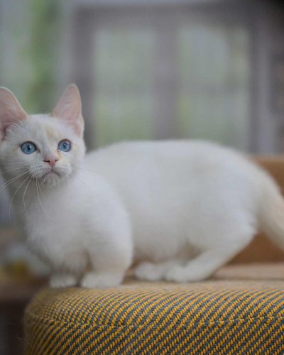 F6D43356-F221-4CF2-B642-FCA2D9895B6F