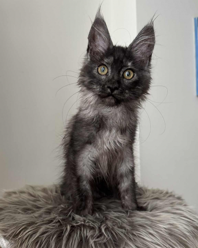 F74DF2D8-E883-4D4C-8C48-2907A5F8CCF4