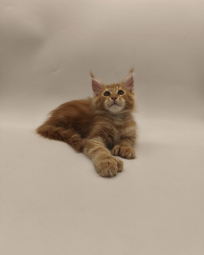 F7DD6DF1-7AC0-46AA-A6E6-288AF845763E