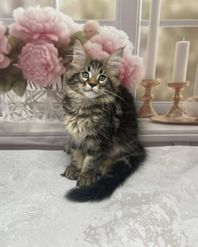 F868C03C-510B-4F00-BDD3-55ECD375D594