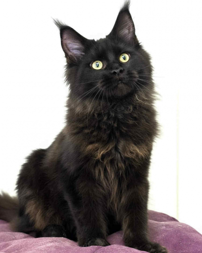 F94F2069-B6E2-471C-A314-69AE071043FB