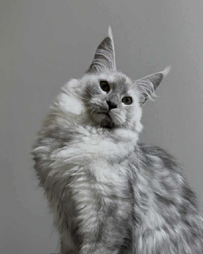 F9F5AC44-58FF-430A-9D1C-3CE1B55CF6C1