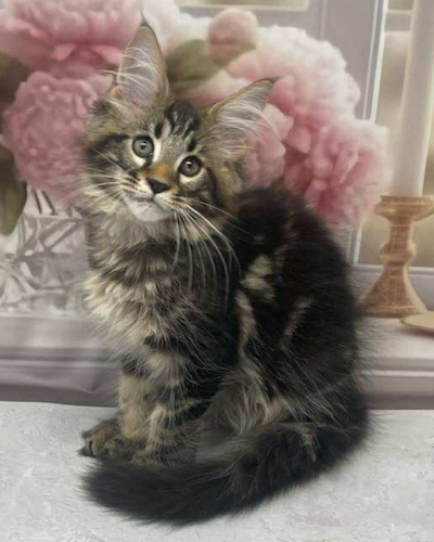 FB913B9A-B6C7-4AE1-8E15-DF9B16AB9DC7