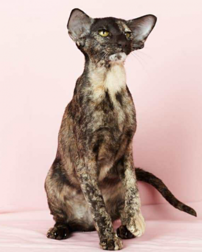 FB980A16-A99B-4656-8FAC-088393A96C5F