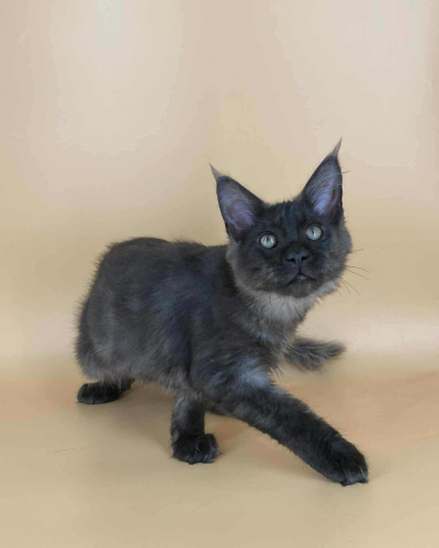 FBBC7D53-4758-47AE-8AD8-78CB5FA51725