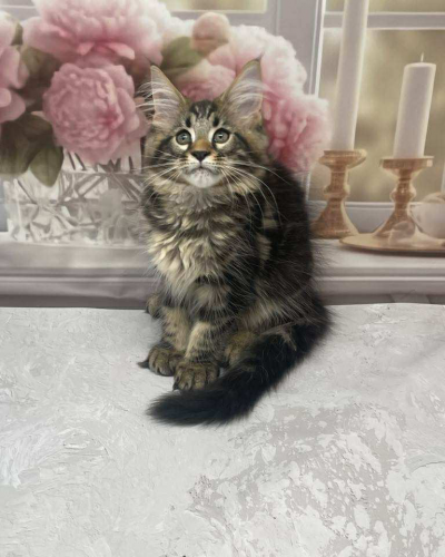 FBFB4837-EBA7-4BA5-A054-3E913F6A20B8