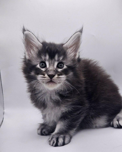 FC6A1555-3B2E-4C5A-9FF6-5C1E977C70ED