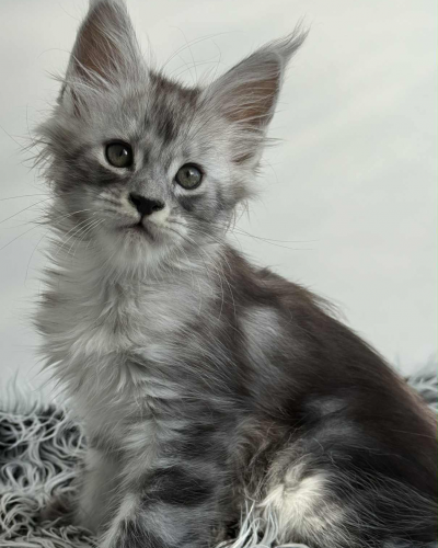 FDB9C683-00C5-4500-BFDC-EC69055BC2BF