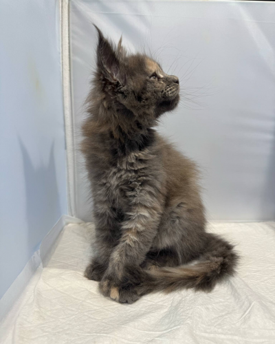 FE08906F-1376-44B3-B732-AD6C77091418