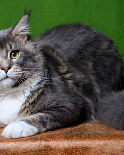 FEF5C351-7642-48BB-B896-124E4595734E