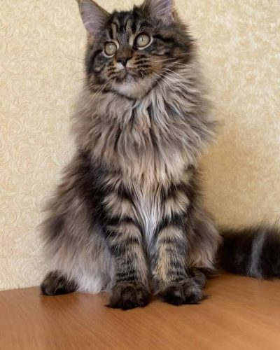 Unknown-2166