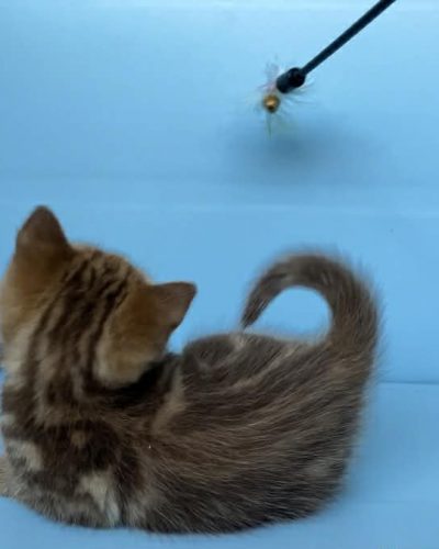 Unknown-2605