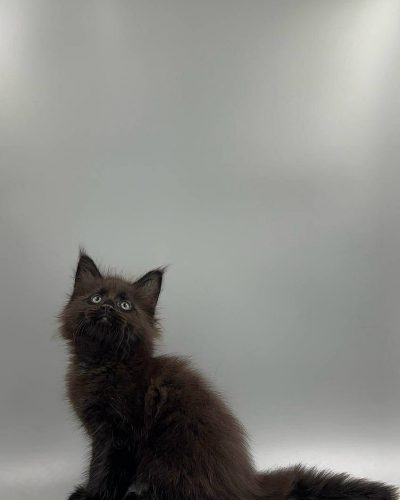 Unknown-3024