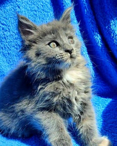 Unknown-3472