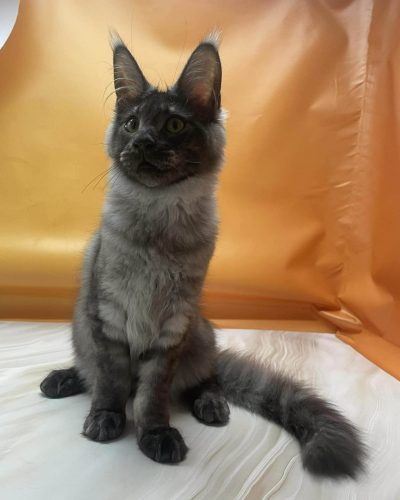 Unknown-3491