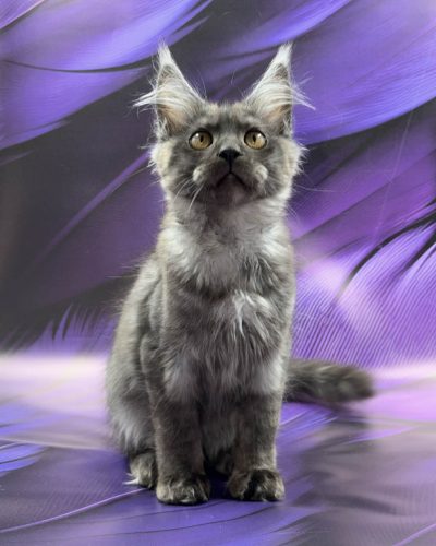 Unknown-3518