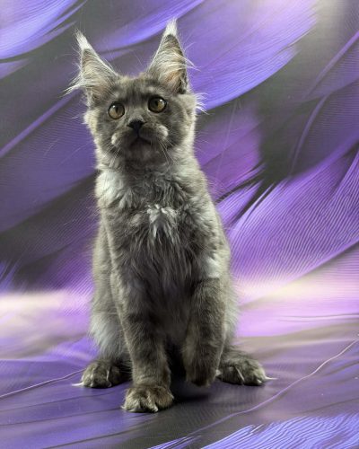 Unknown-3521