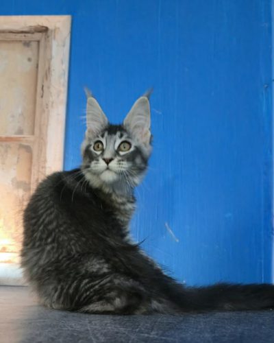 Unknown-3570