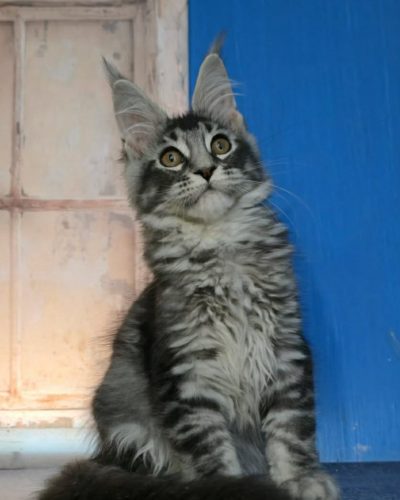 Unknown-3571