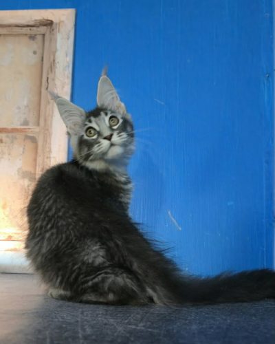Unknown-3572