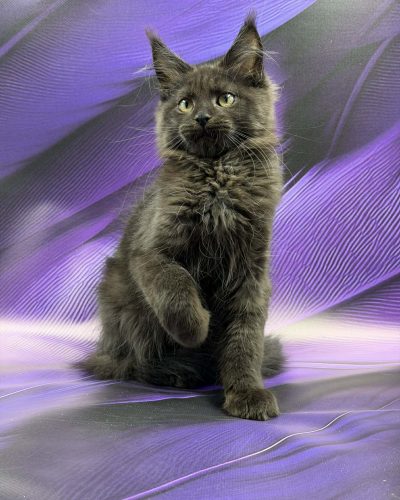 Unknown-3582
