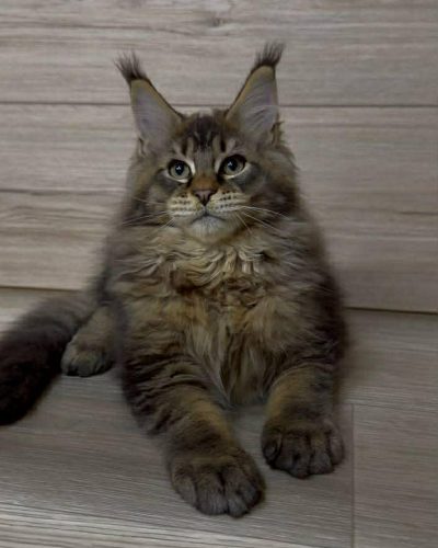 Unknown-3592