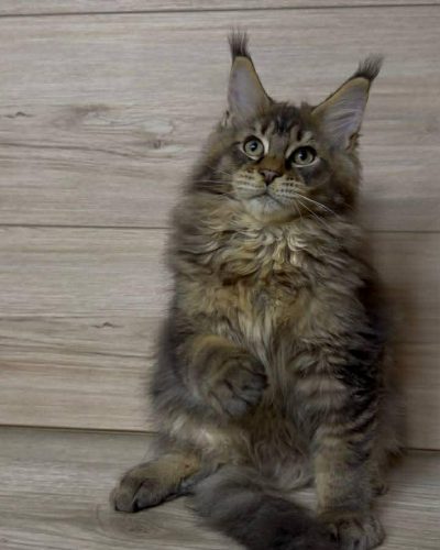 Unknown-3595