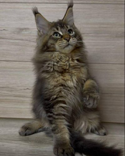 Unknown-3596