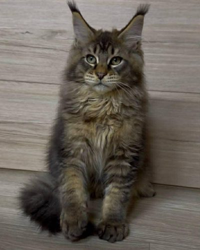 Unknown-3598