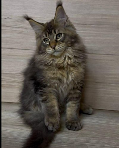 Unknown-3599