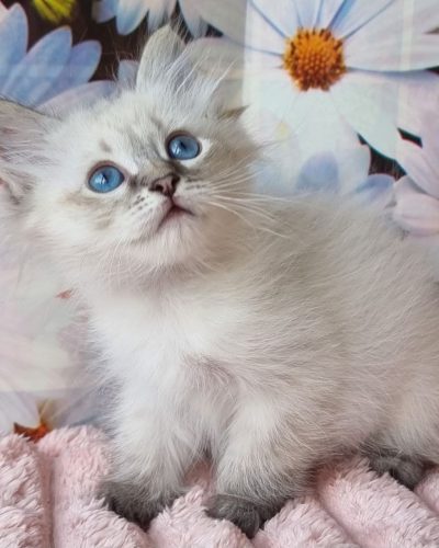 Unknown-4157