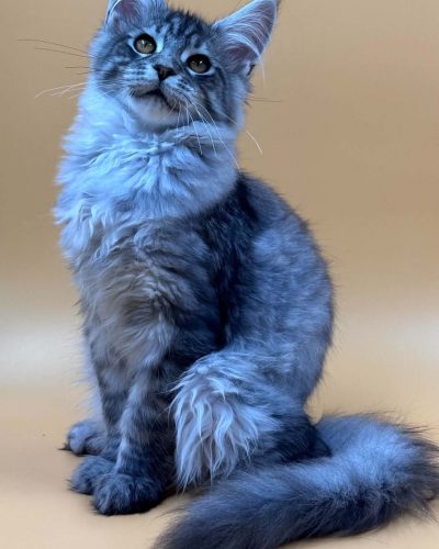 Unknown-4487